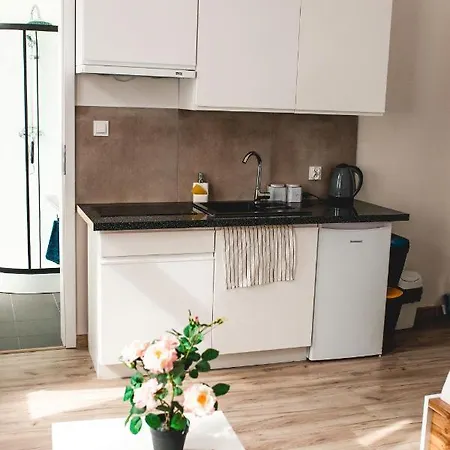 Souvenirappart Wilenska Apartamento Bydgoszcz