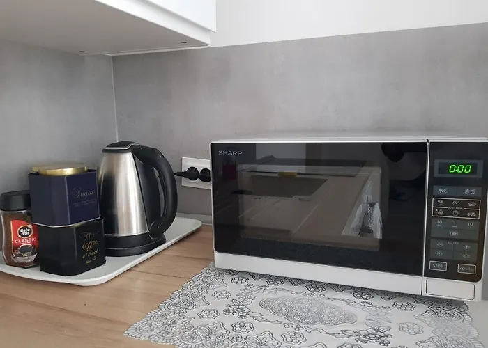 Souvenirappart Wilenska Lägenhet *