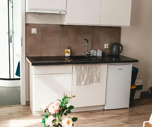 Souvenirappart Wilenska Apartman Bydgoszcz